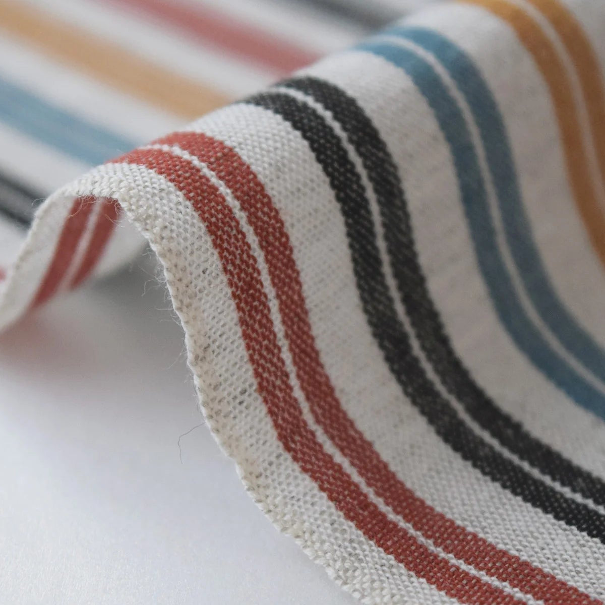 池沼織工房 棉麻 遠州縞 2022/07 反物 池沼織工房 千織