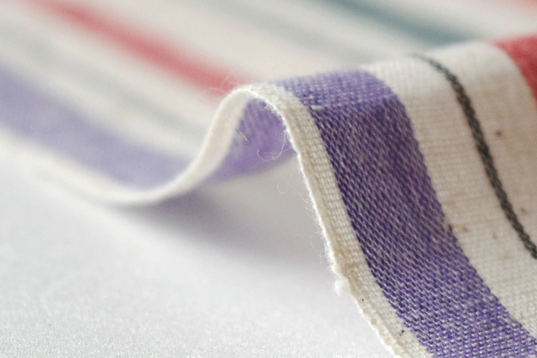 池沼織工房 千織 遠州木綿 遠州縞 初音※メートル売り(1=1m) fabric 池沼織工房 千織