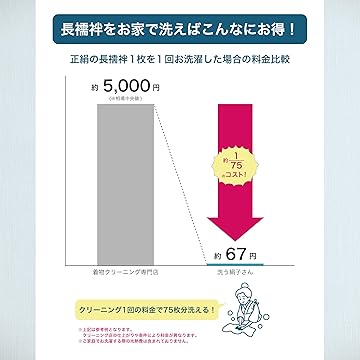 「洗う絹子さん」長襦袢用洗濯洗剤 （シルク用 絹用 ）たっぷり450mL （日本製）
