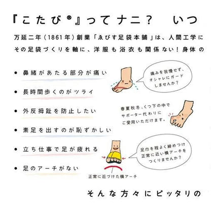 ゑびす足袋本舗 こたび 足袋 ゑびす足袋本舗 